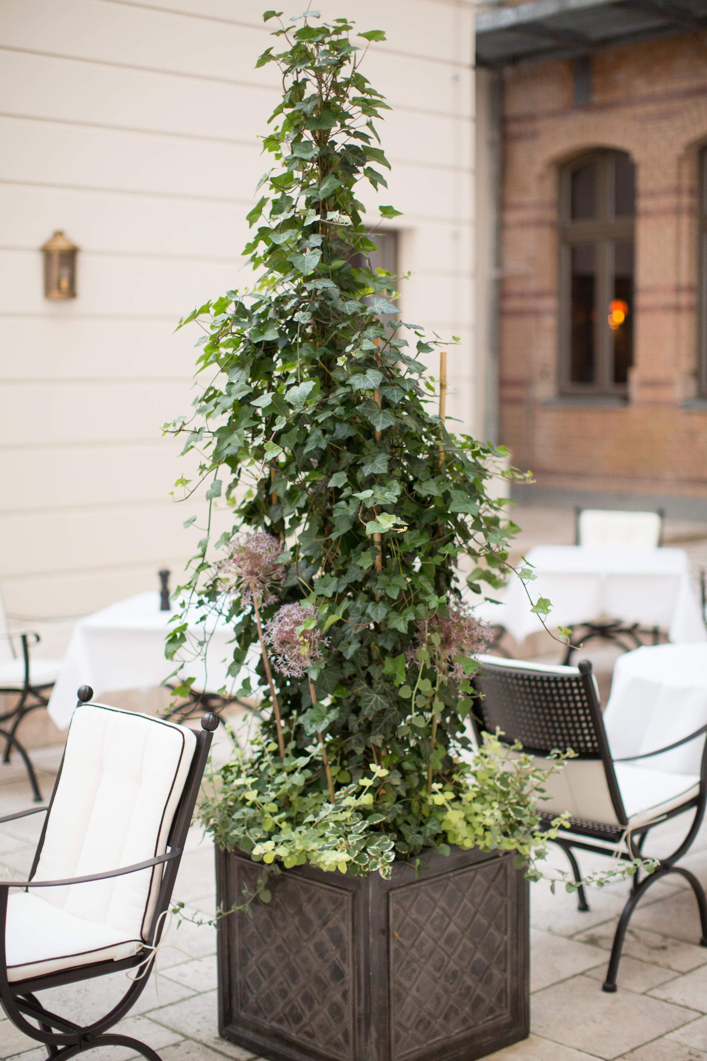 Hotel Monbijou Berlín